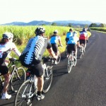 CaneFields2